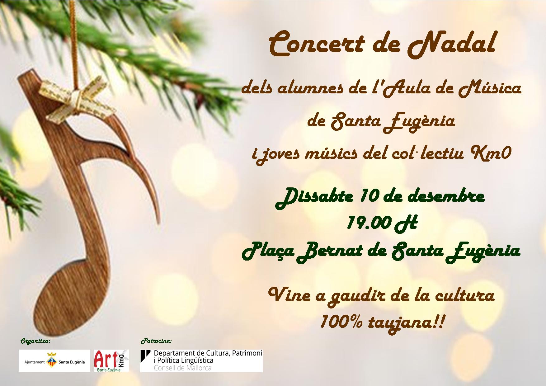 cartell concert de nadal aula de música