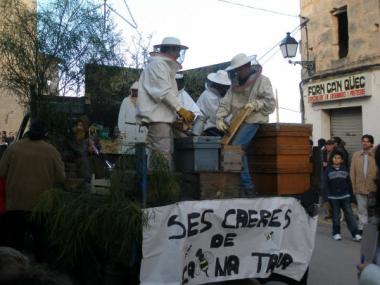 FOTOGRAFIES DE LES BENEÏDES DE SANT ANTONI 2009.