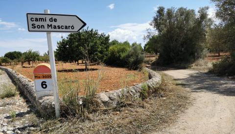 L'Ajuntament conclou el pla anual de desbrossat de camins rurals dins el terme municipal
