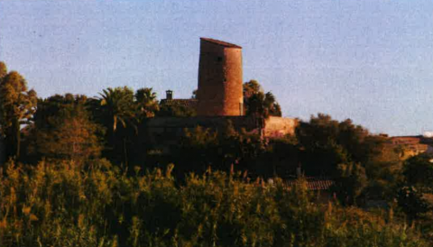 Pla especial de protecció dels BICS 