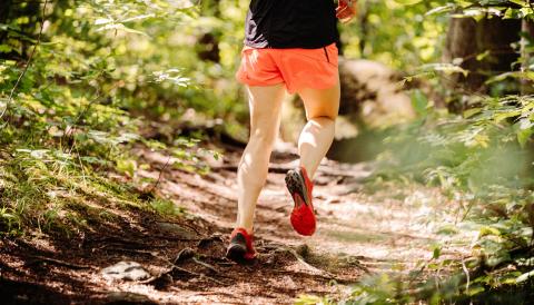 trail santa eugènia